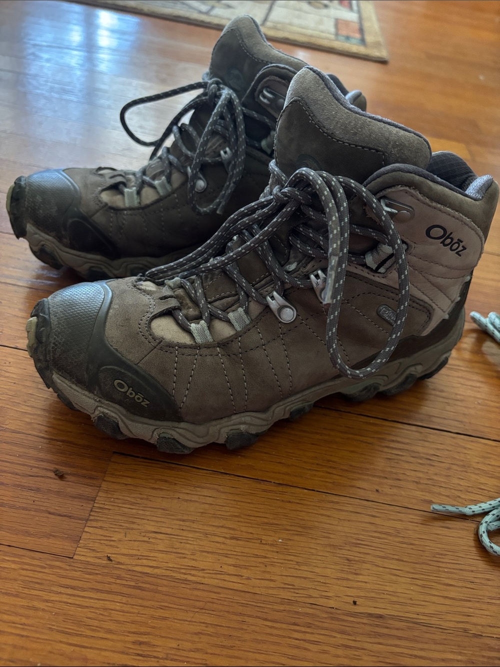 Oboz Bridger B-Dry Mid Hiking Boot!